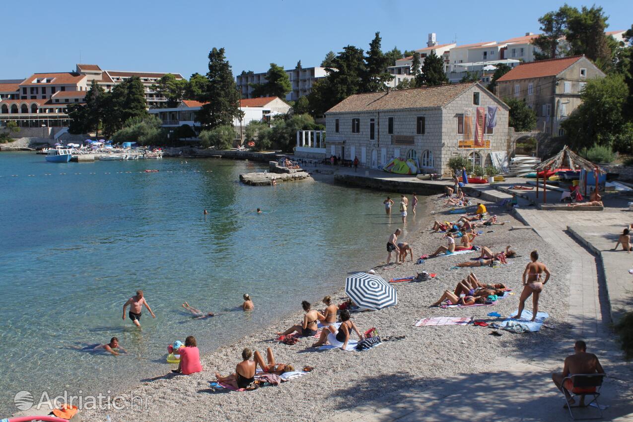 Nearby beaches - Apartments by the sea Korčula