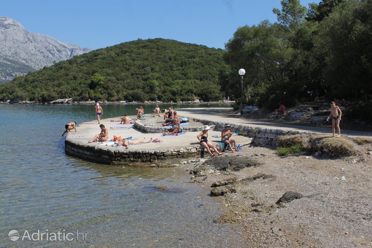 Nearby beaches - Apartments by the sea Korčula