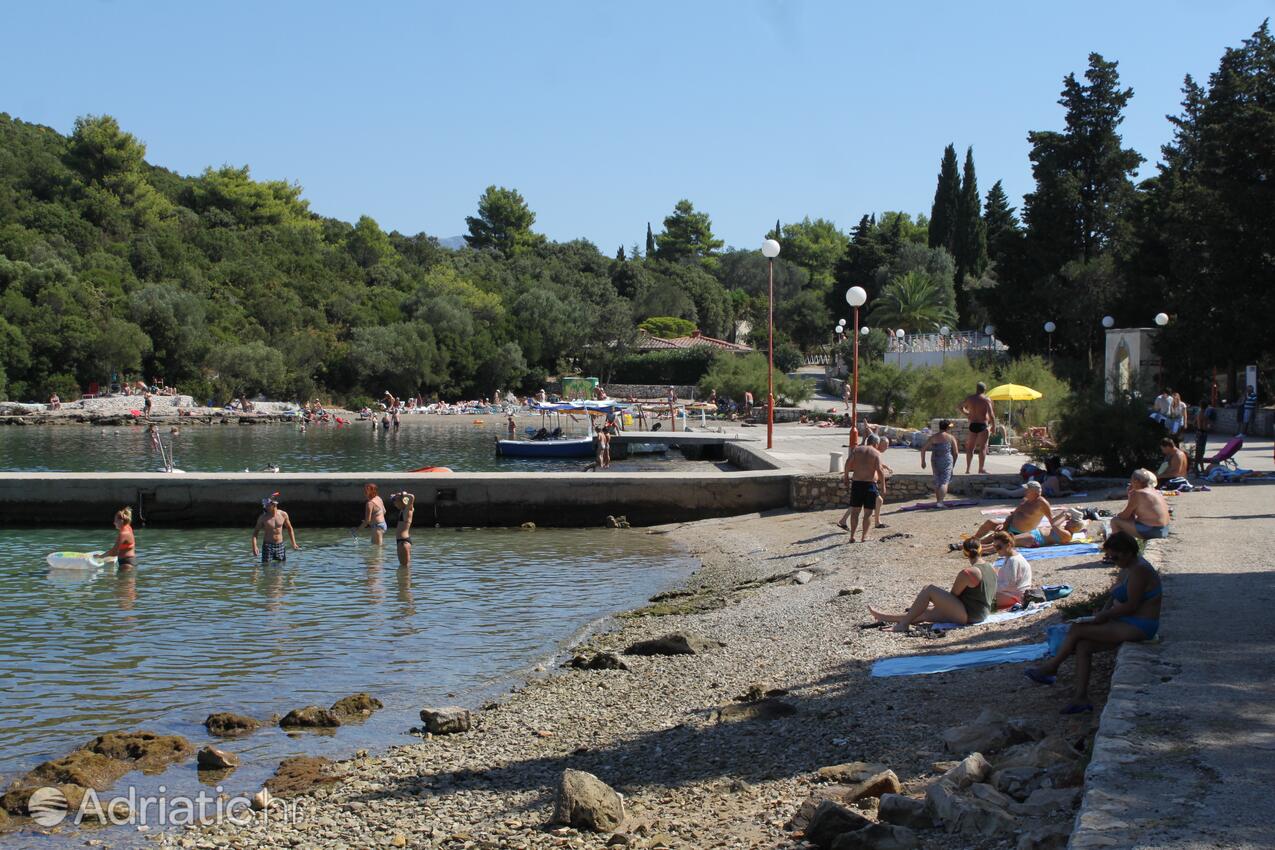 Nearby beaches - Apartments by the sea Korčula