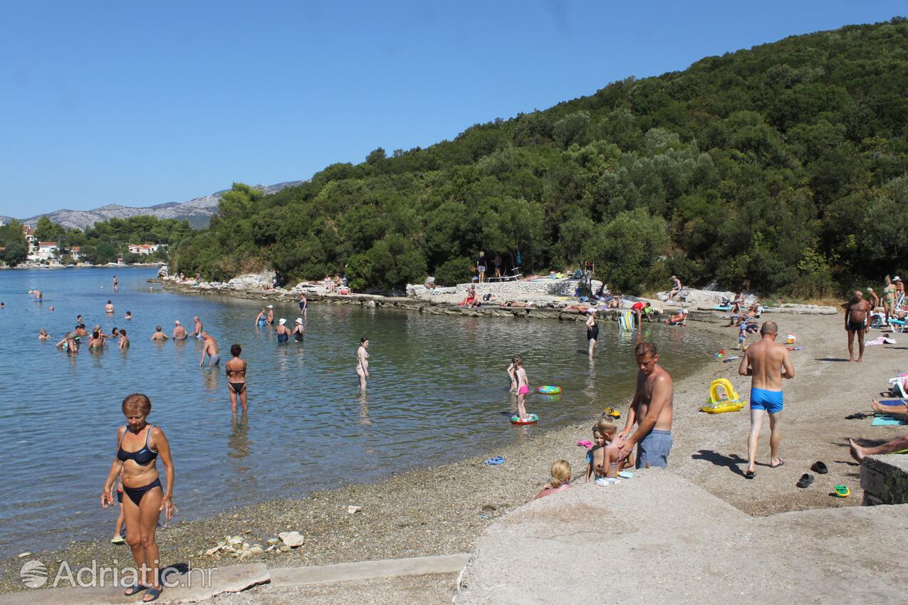 Nearby beaches - Apartments by the sea Korčula