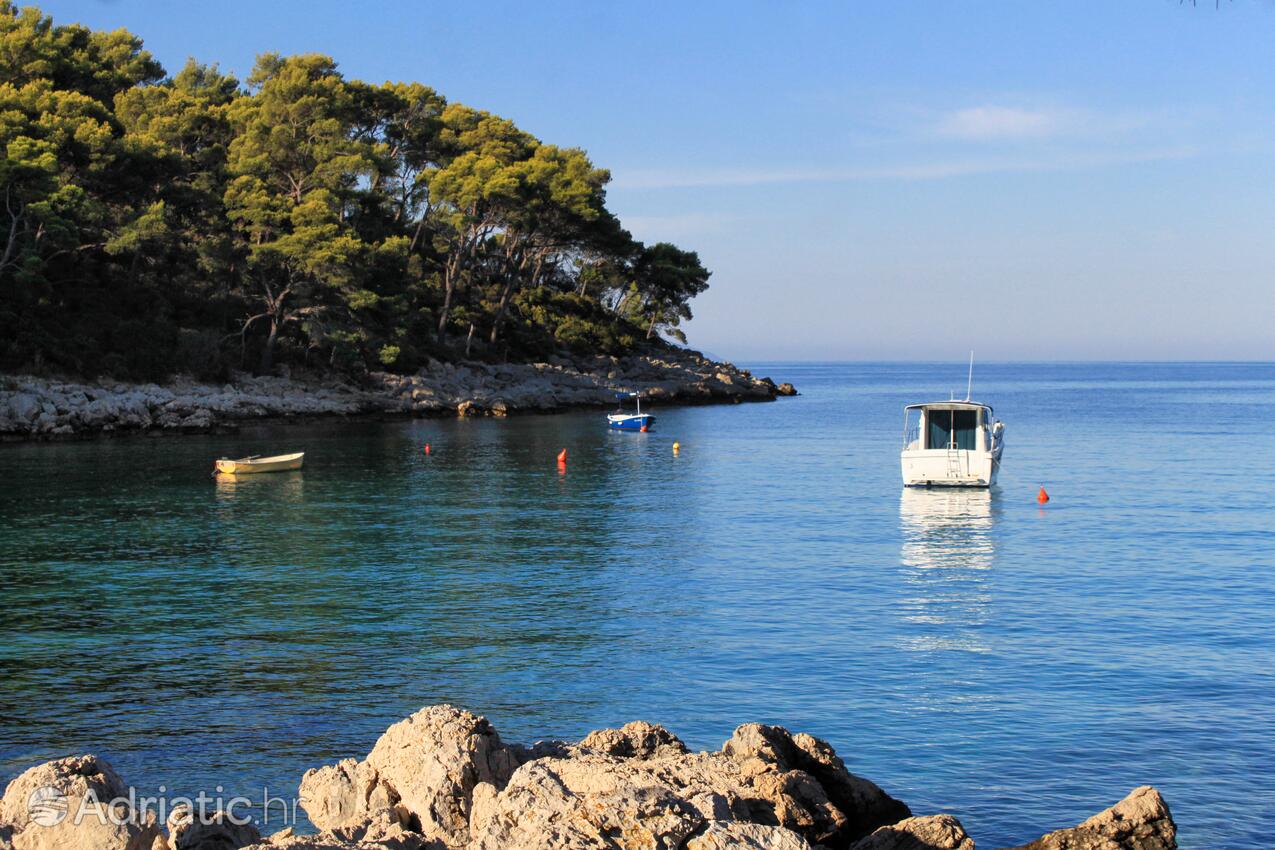 Prižba på otoku Korčula (Južna Dalmacija)