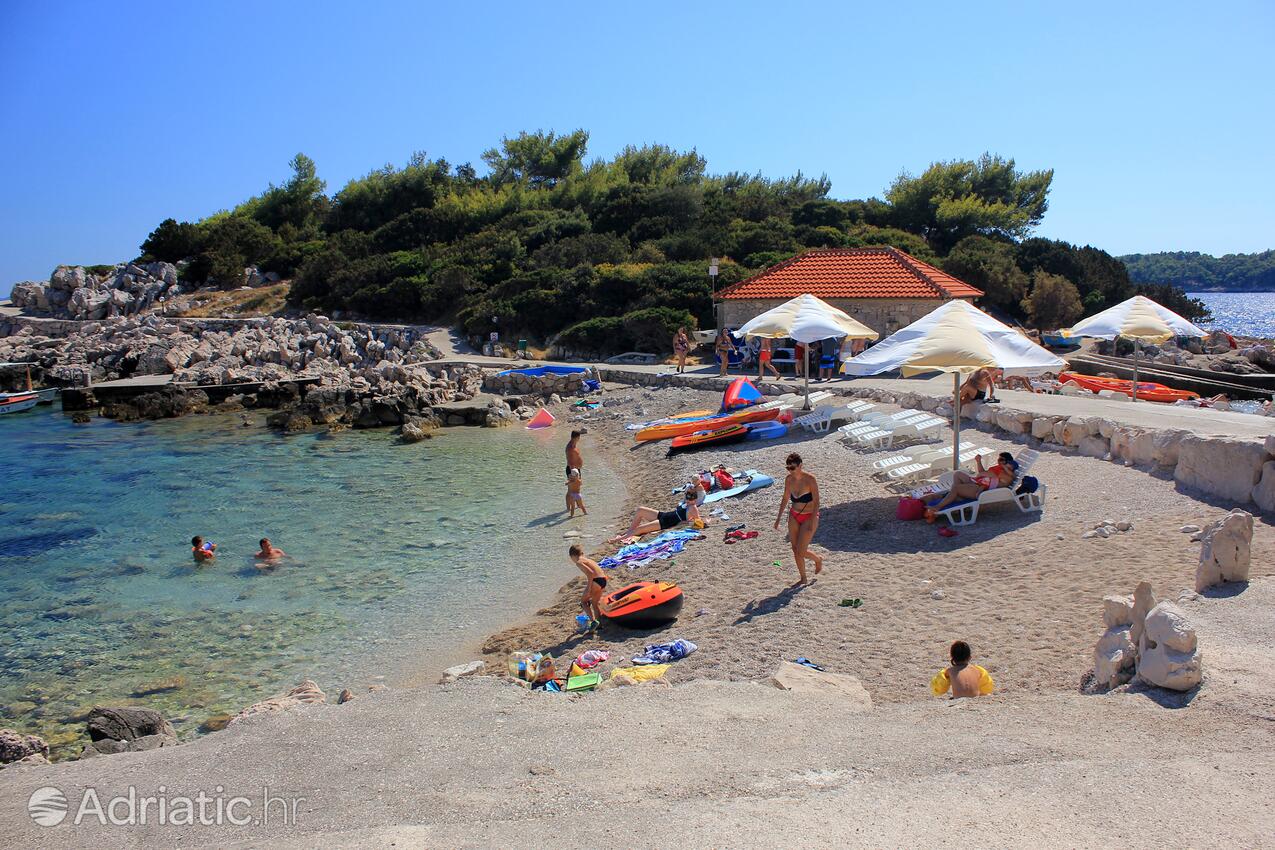 Nearby beaches - Apartments by the sea Prižba, Korčula