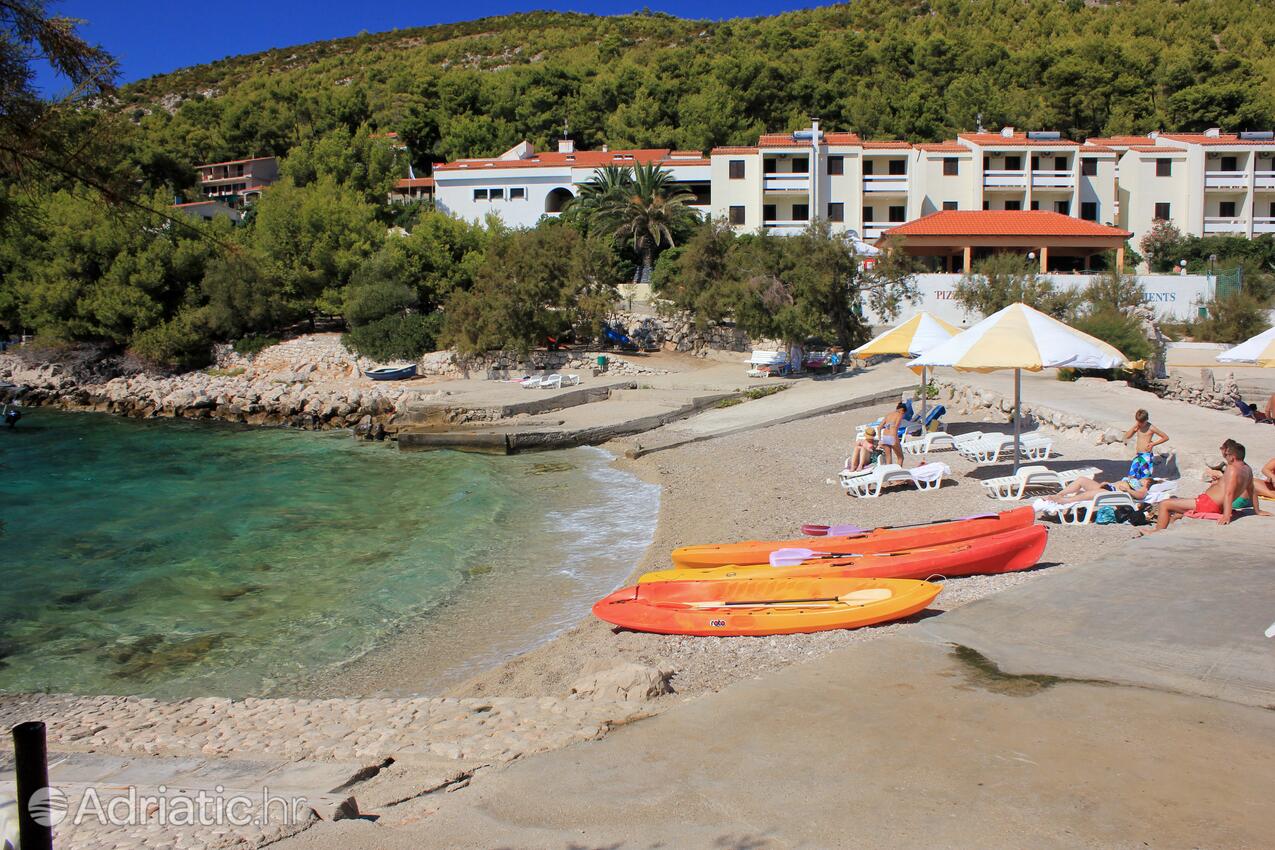 Nearby beaches - Apartments by the sea Prižba, Korčula