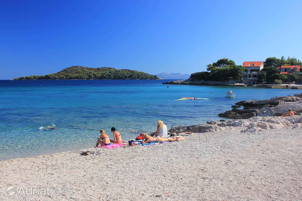 Nearby beaches - Apartments by the sea Prižba, Korčula