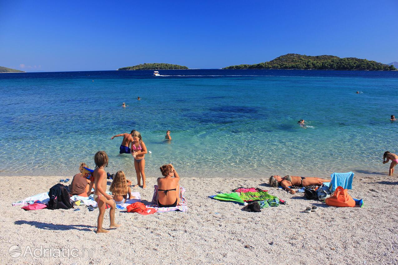 Nearby beaches - Apartments by the sea Prižba, Korčula