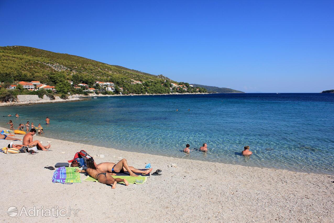 Nearby beaches - Apartments by the sea Prižba, Korčula