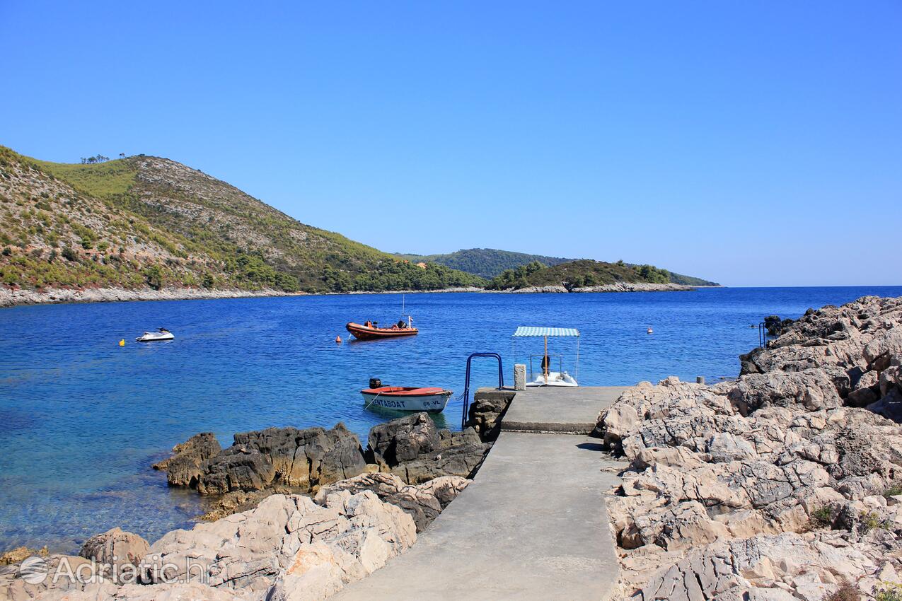 Nearby beaches - Apartments by the sea Prižba, Korčula