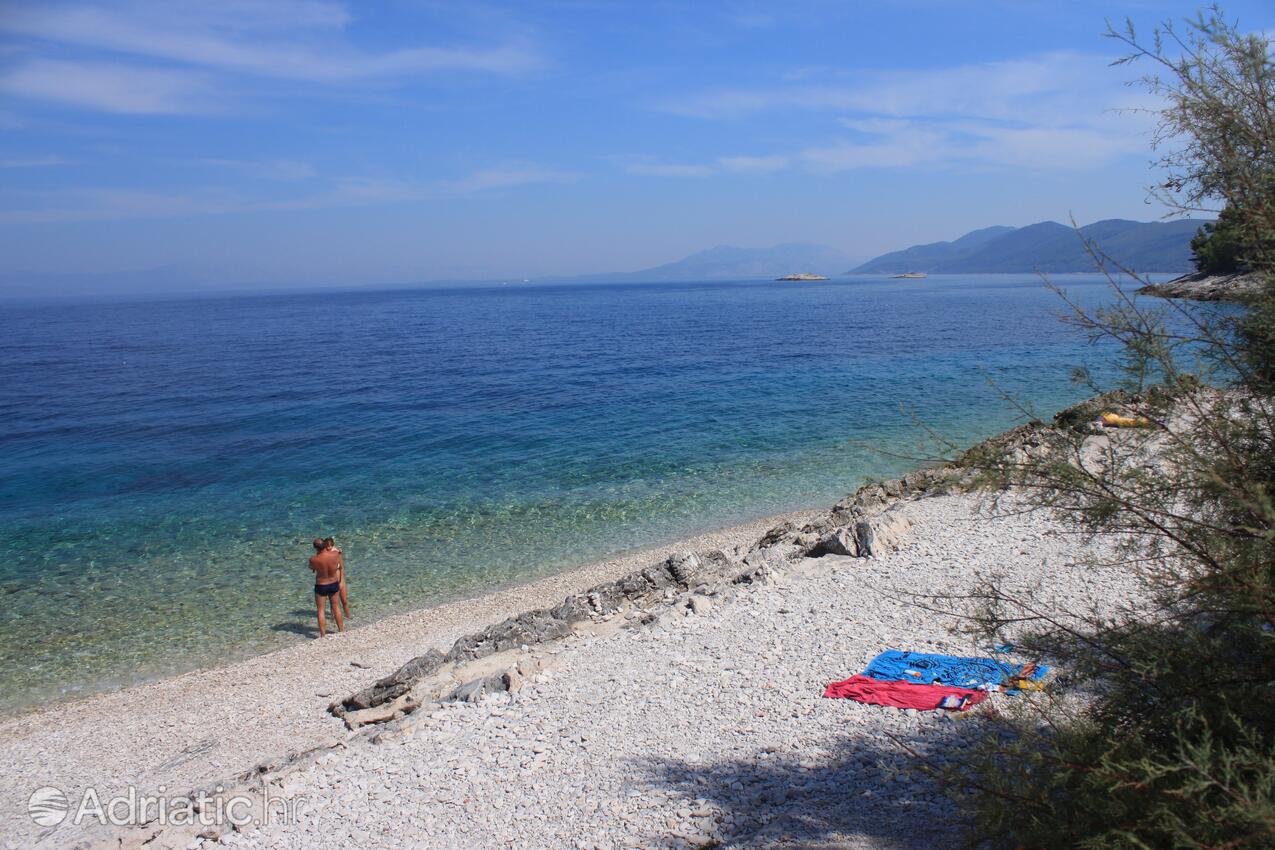 Spiagge nelle vicinanze - Appartamenti accanto al mare Prigradica, Curzola - Korčula