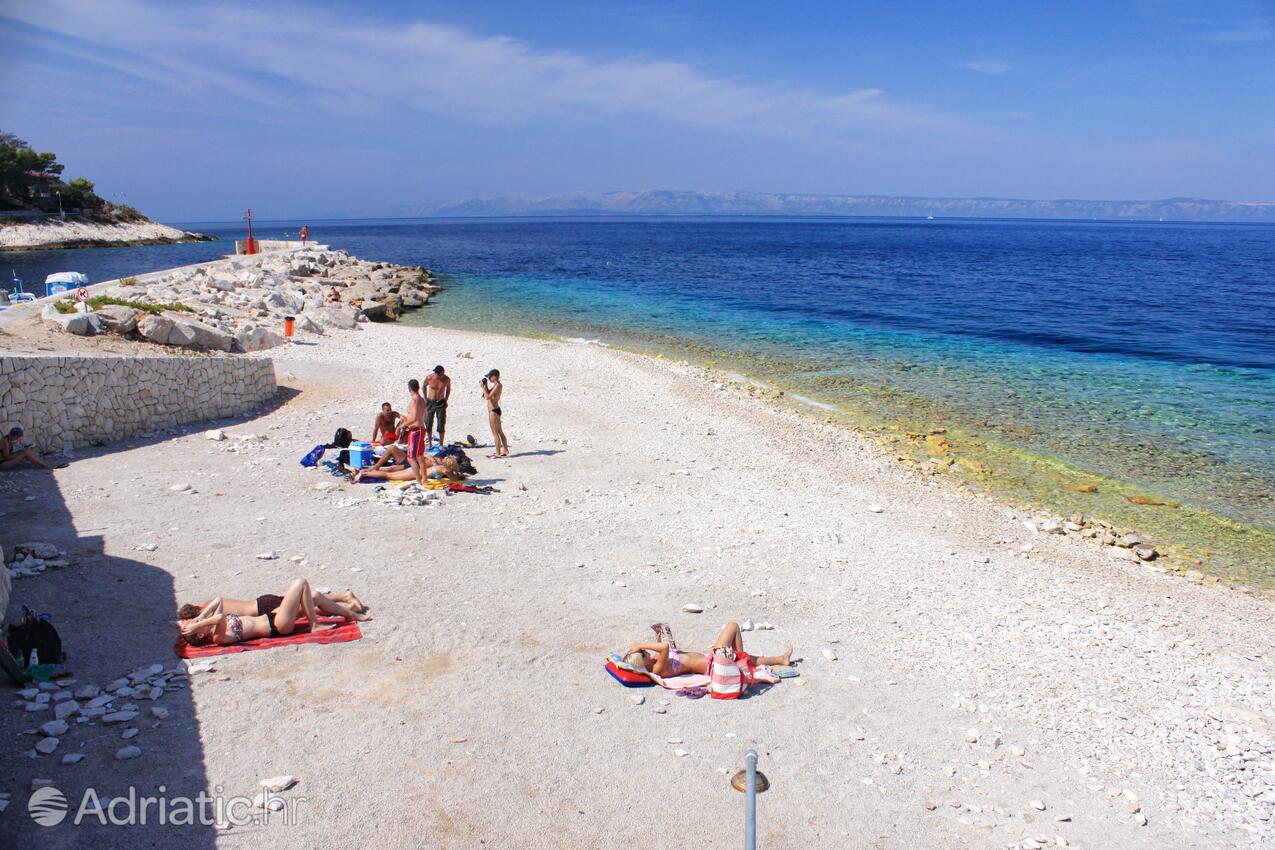 Spiagge nelle vicinanze - Appartamenti accanto al mare Prigradica, Curzola - Korčula