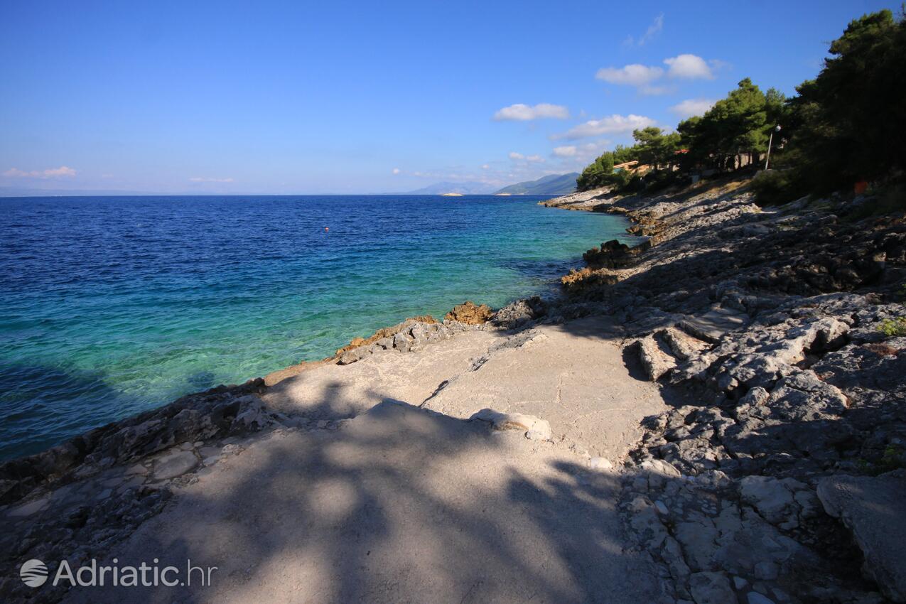 Spiagge nelle vicinanze - Appartamenti accanto al mare Prigradica, Curzola - Korčula