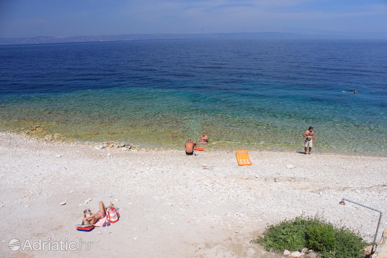 Spiagge nelle vicinanze - Appartamenti accanto al mare Prigradica, Curzola - Korčula