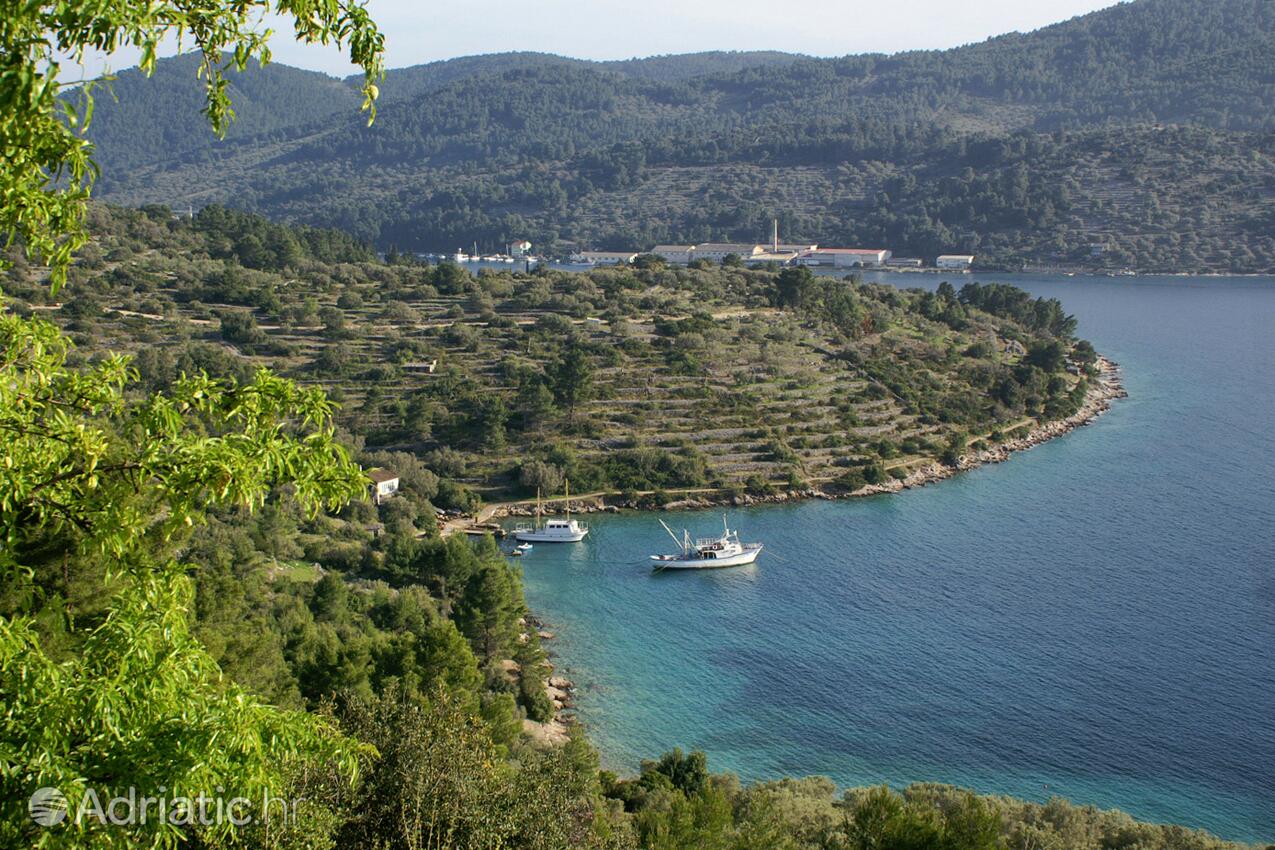 Vela Luka pe insula Korčula (Južna Dalmacija)