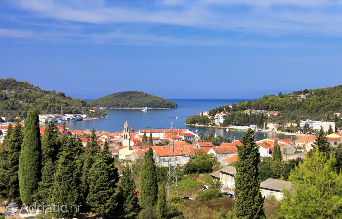 Vela Luka pe insula Korčula (Južna Dalmacija)