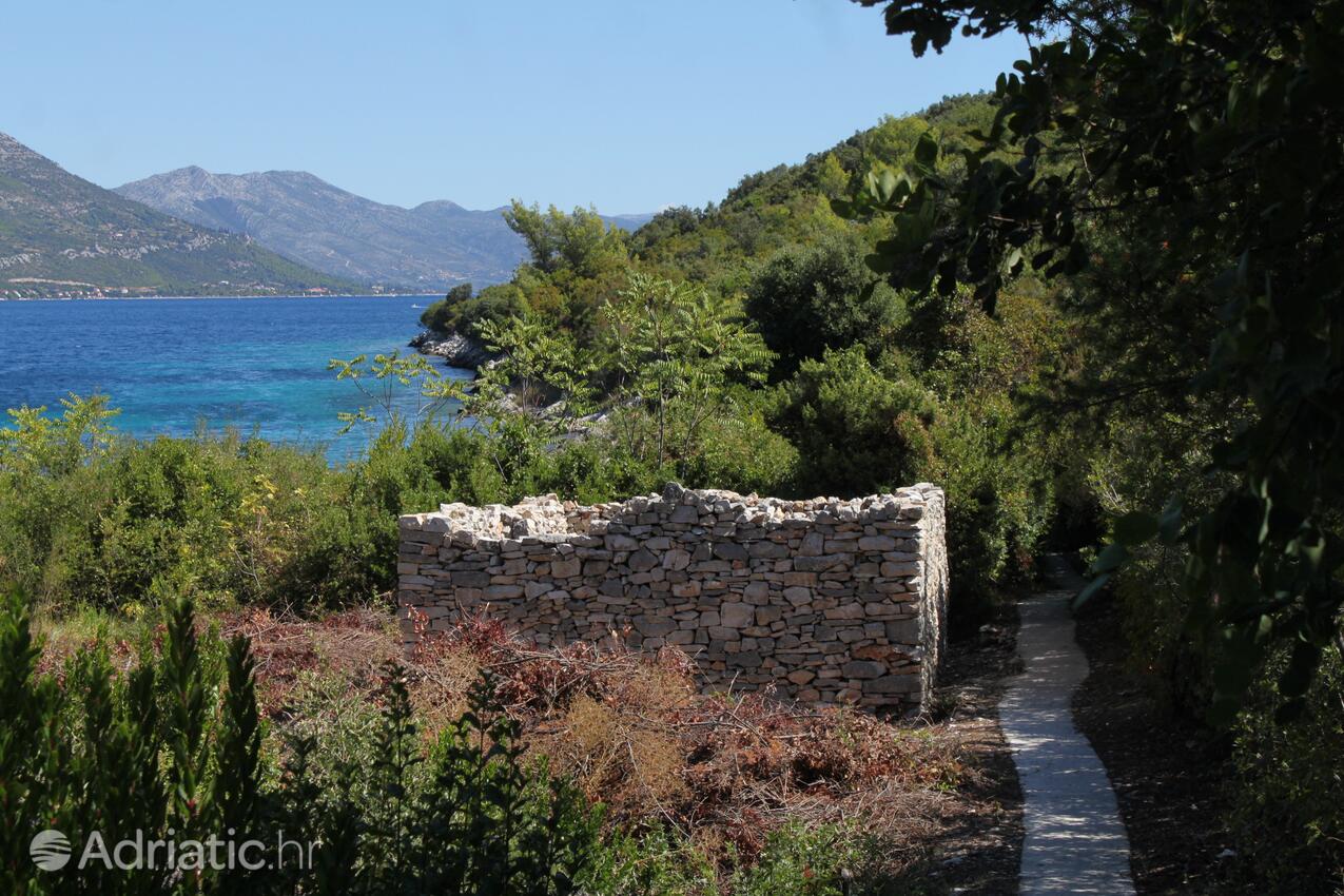 Kneža na ostrove Korčula (Južna Dalmacija)