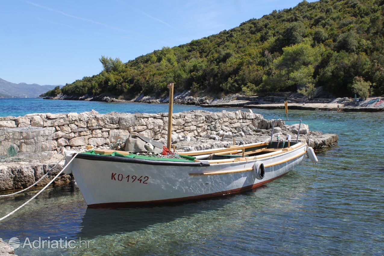 Kneža na ostrove Korčula (Južna Dalmacija)