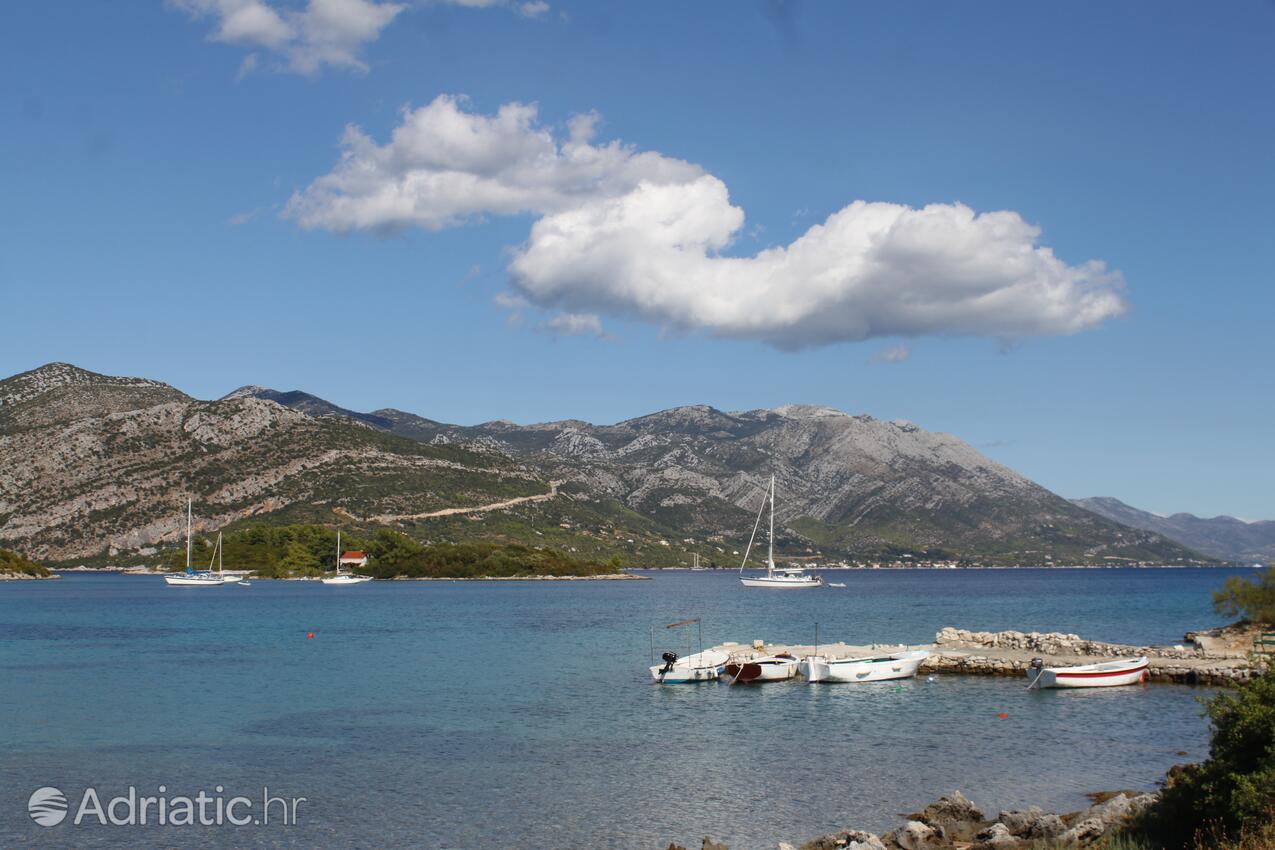 Kneža na ostrove Korčula (Južna Dalmacija)