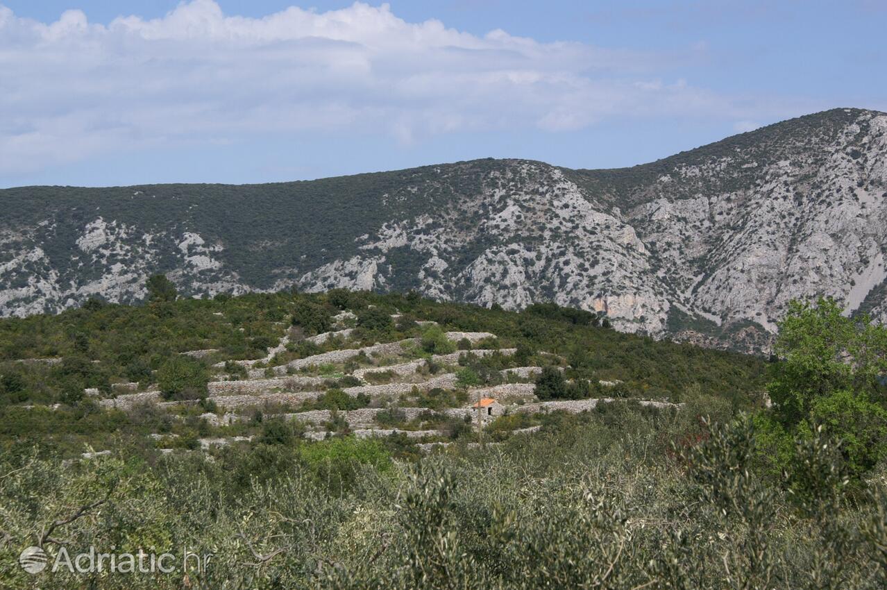 Kneža na ostrove Korčula (Južna Dalmacija)