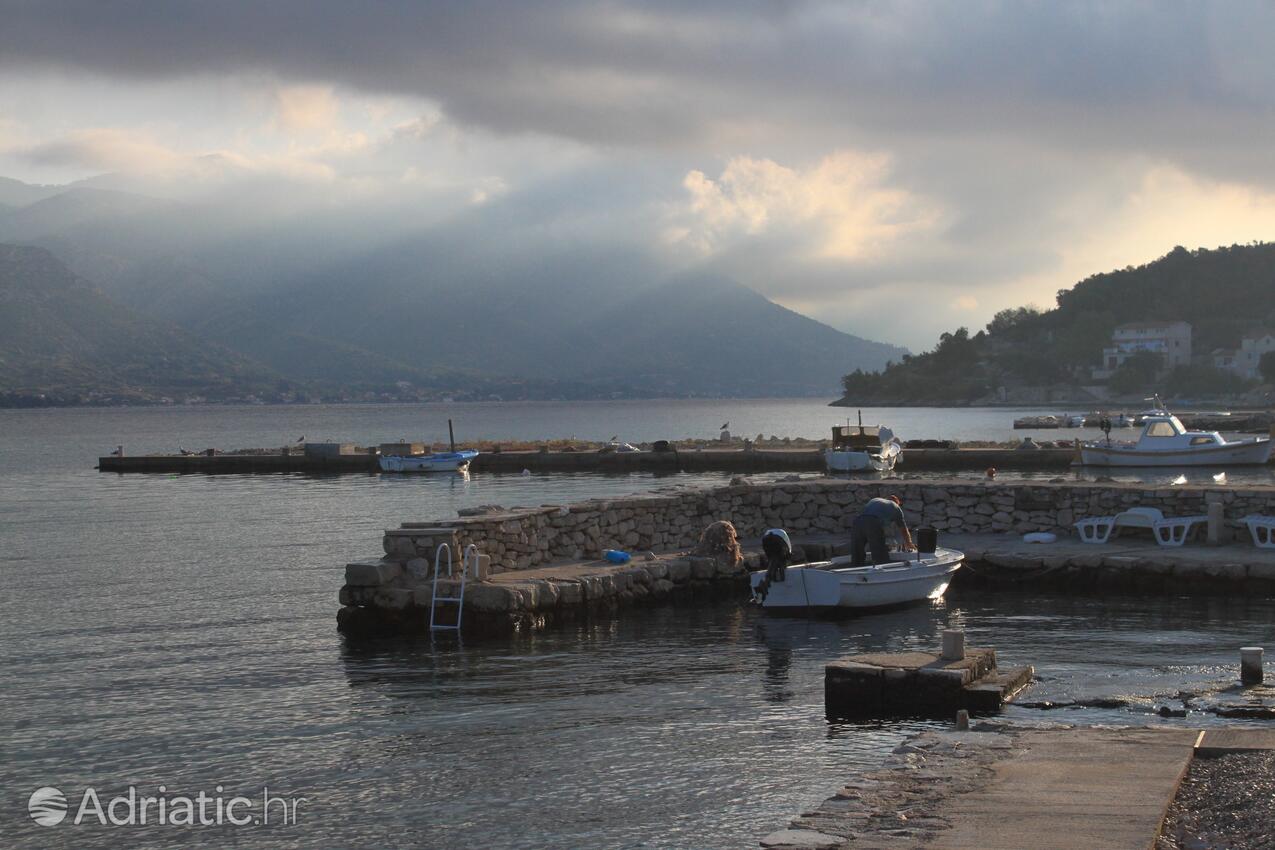 Kneža na ostrove Korčula (Južna Dalmacija)