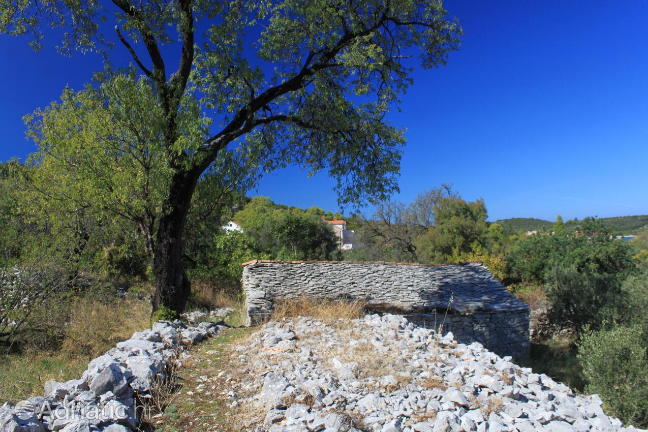 Kneža na ostrove Korčula (Južna Dalmacija)