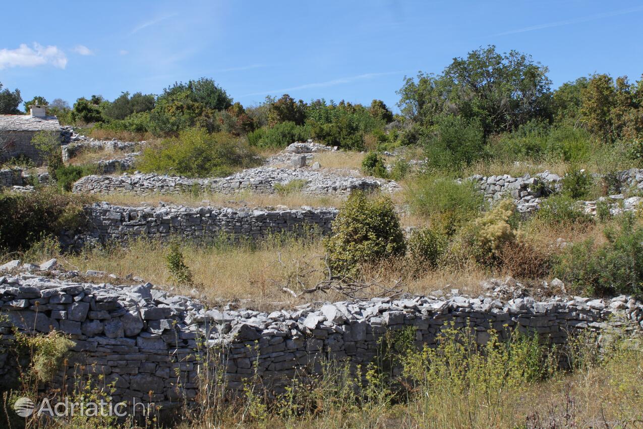 Kneža na ostrove Korčula (Južna Dalmacija)