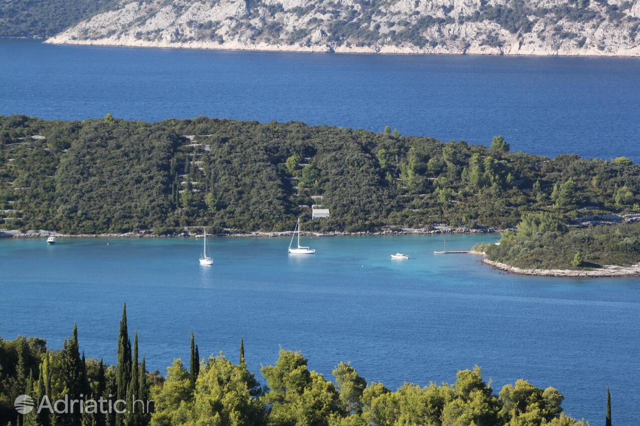 Kneža na ostrove Korčula (Južna Dalmacija)