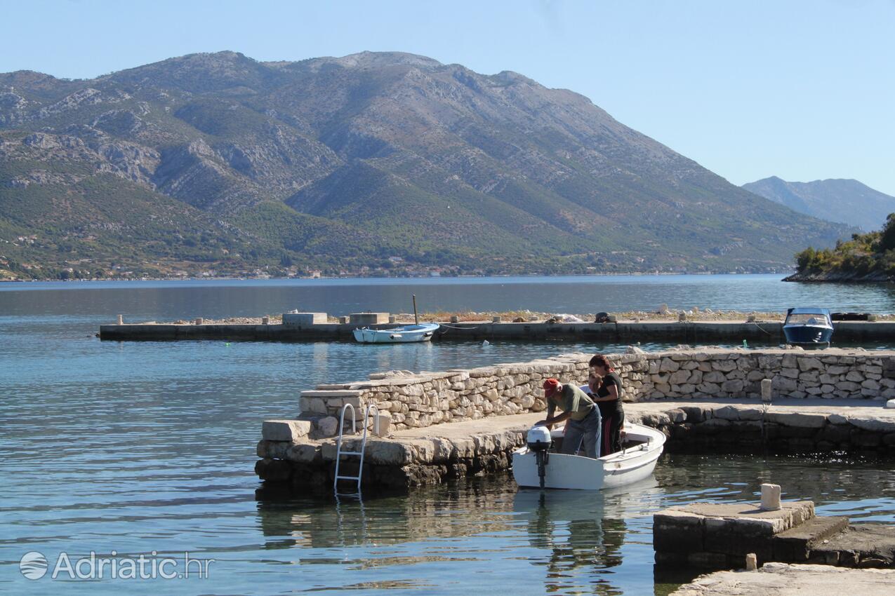 Kneža Korčula szigeten (Južna Dalmacija)