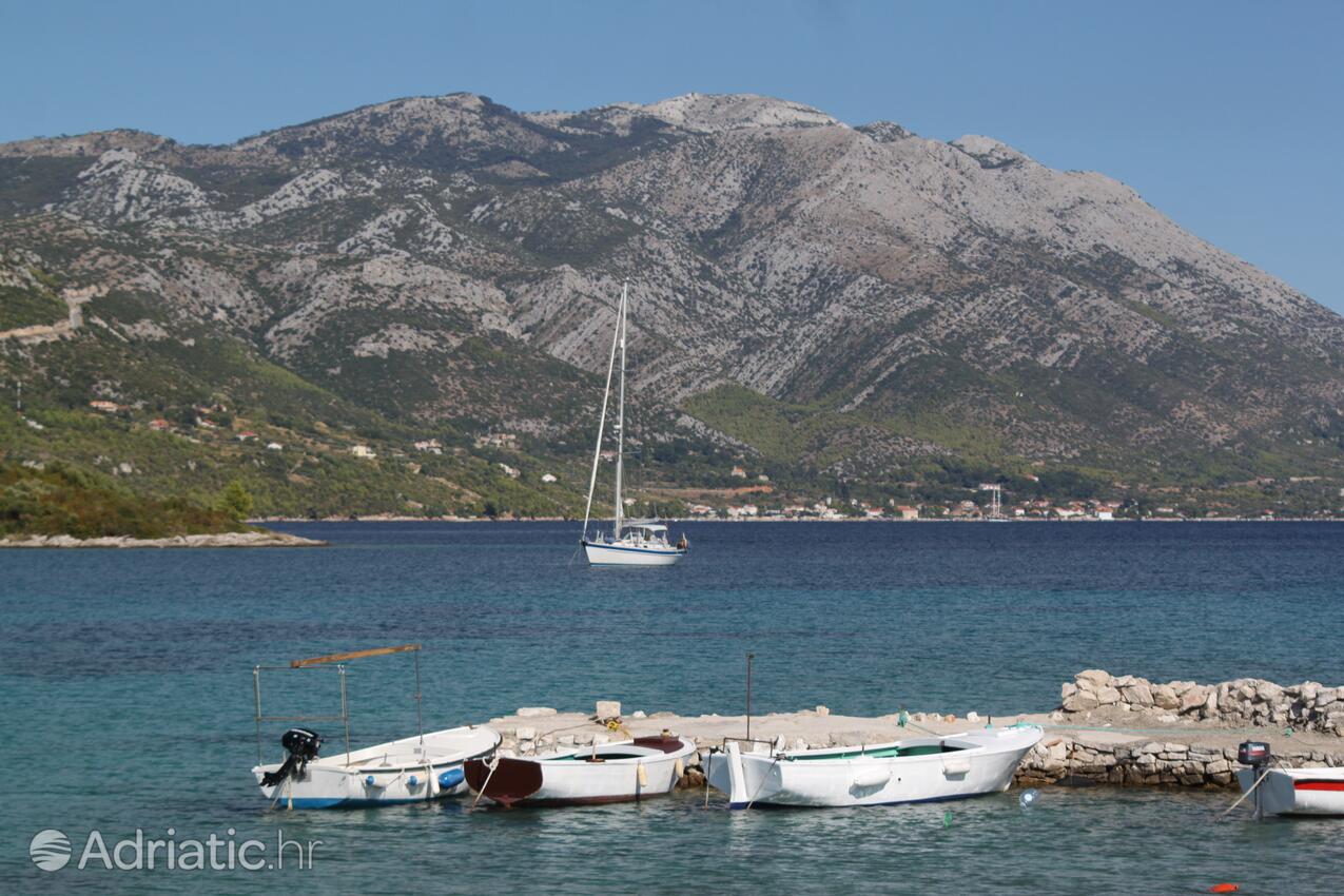 Kneža na ostrove Korčula (Južna Dalmacija)