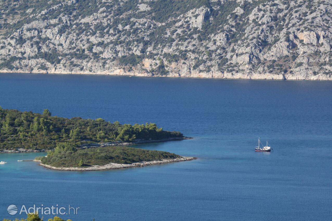 Kneža Korčula szigeten (Južna Dalmacija)