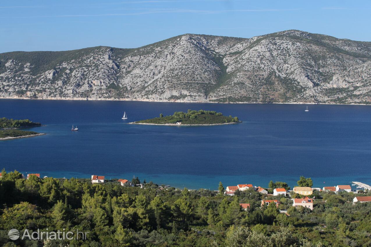 Kneža na ostrove Korčula (Južna Dalmacija)