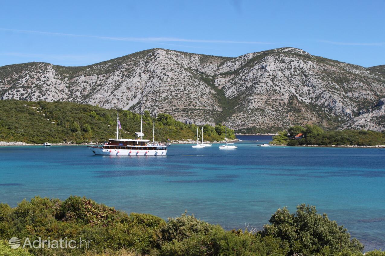 Kneža Korčula szigeten (Južna Dalmacija)