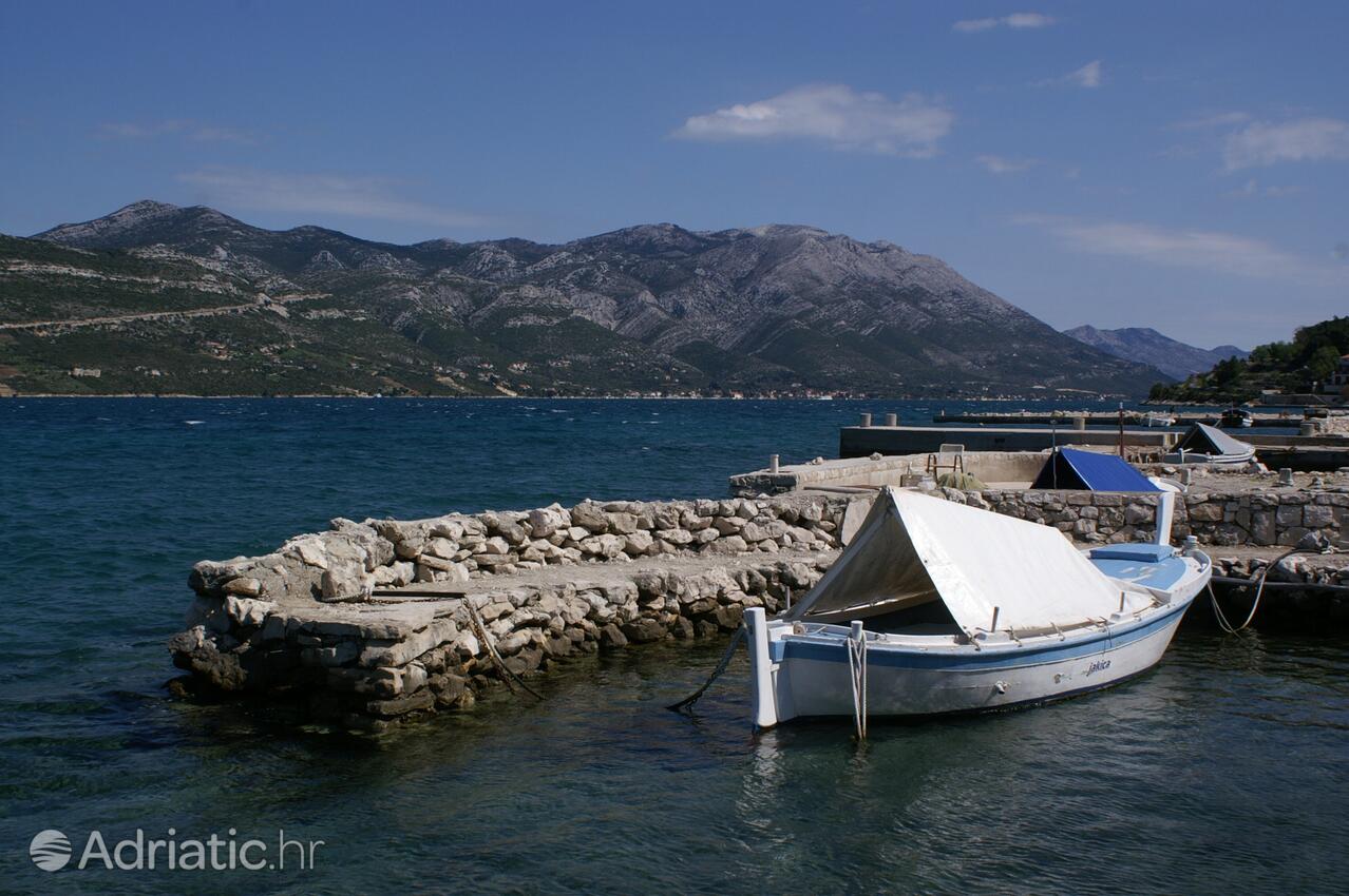 Kneža na ostrove Korčula (Južna Dalmacija)