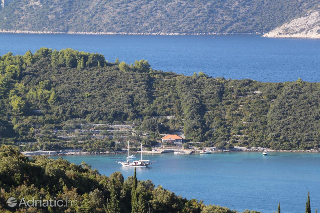 Kneža Korčula szigeten (Južna Dalmacija)