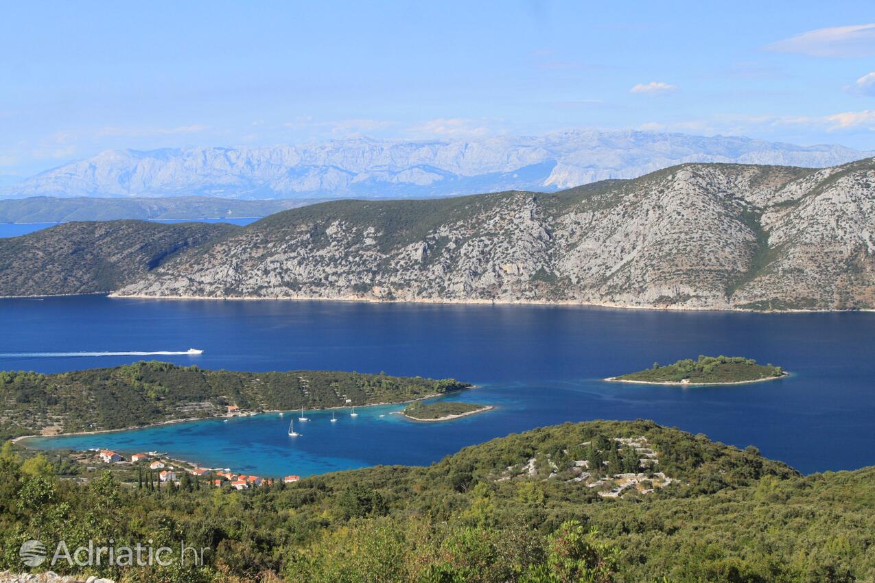 Kneža na ostrove Korčula (Južna Dalmacija)