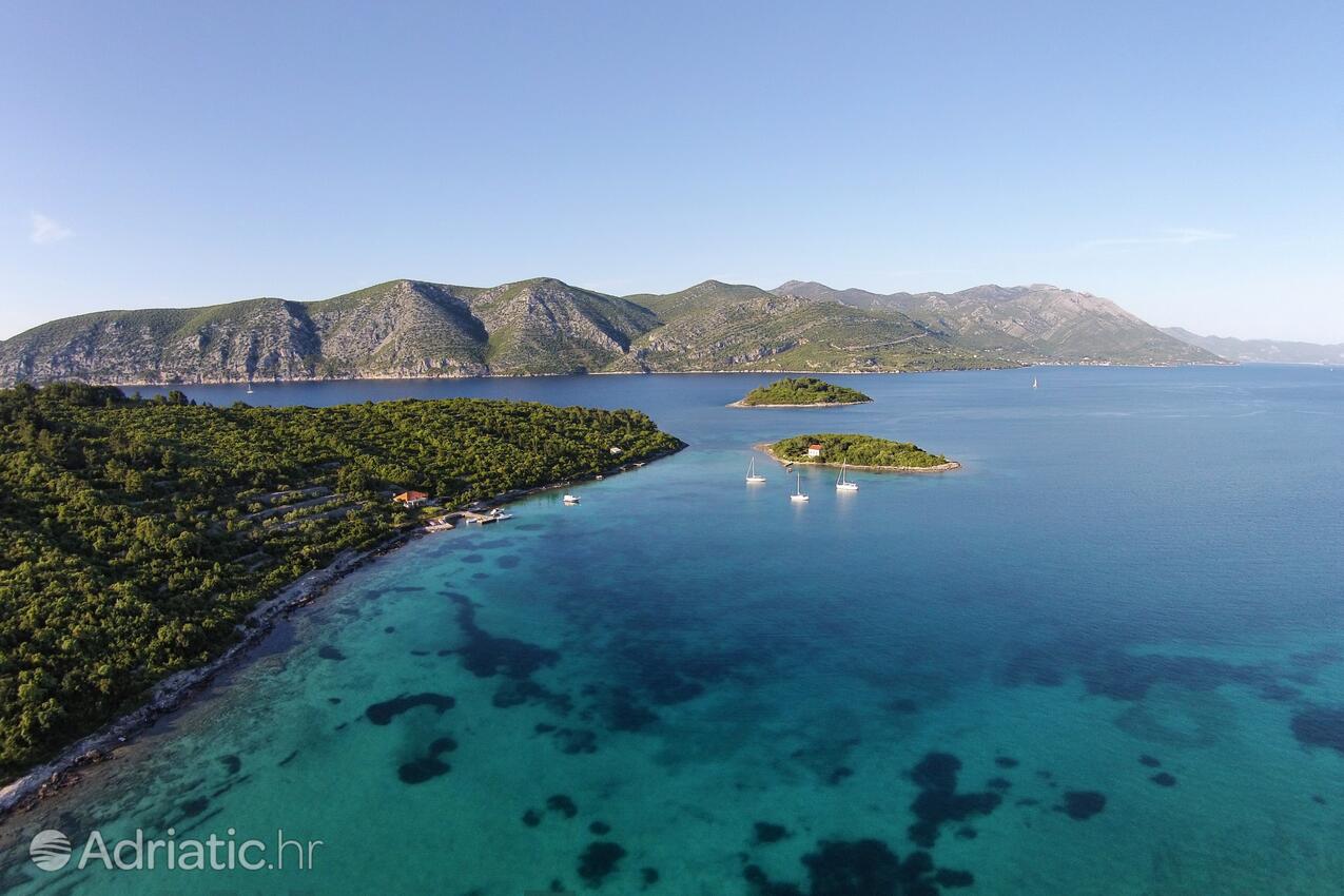 Kneža na ostrove Korčula (Južna Dalmacija)