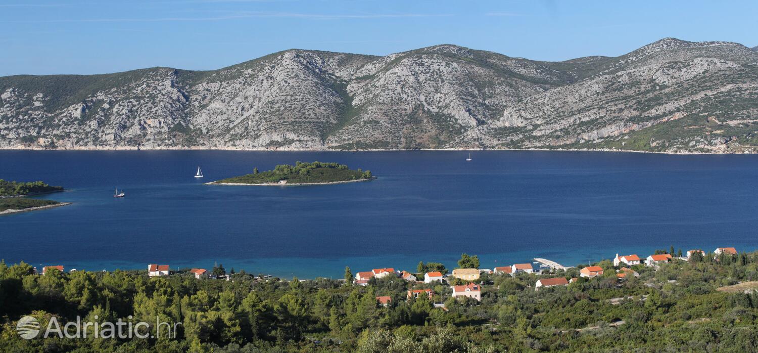 Kneža Korčula szigeten (Južna Dalmacija)