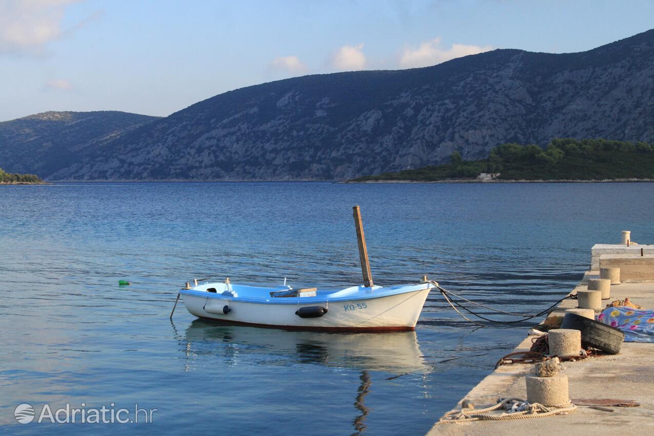 Kneža na ostrove Korčula (Južna Dalmacija)