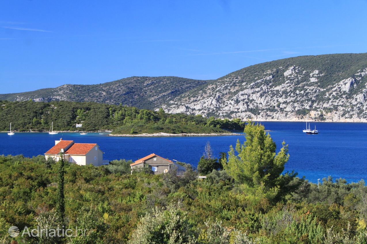 Kneža Korčula szigeten (Južna Dalmacija)