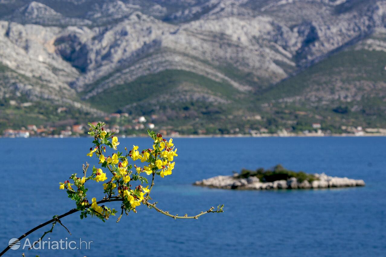 Tri Žala sull'isola Korčula (Južna Dalmacija)