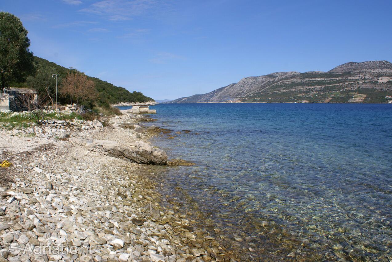 Nearby beaches - Apartments by the sea Tri Žala, Korčula
