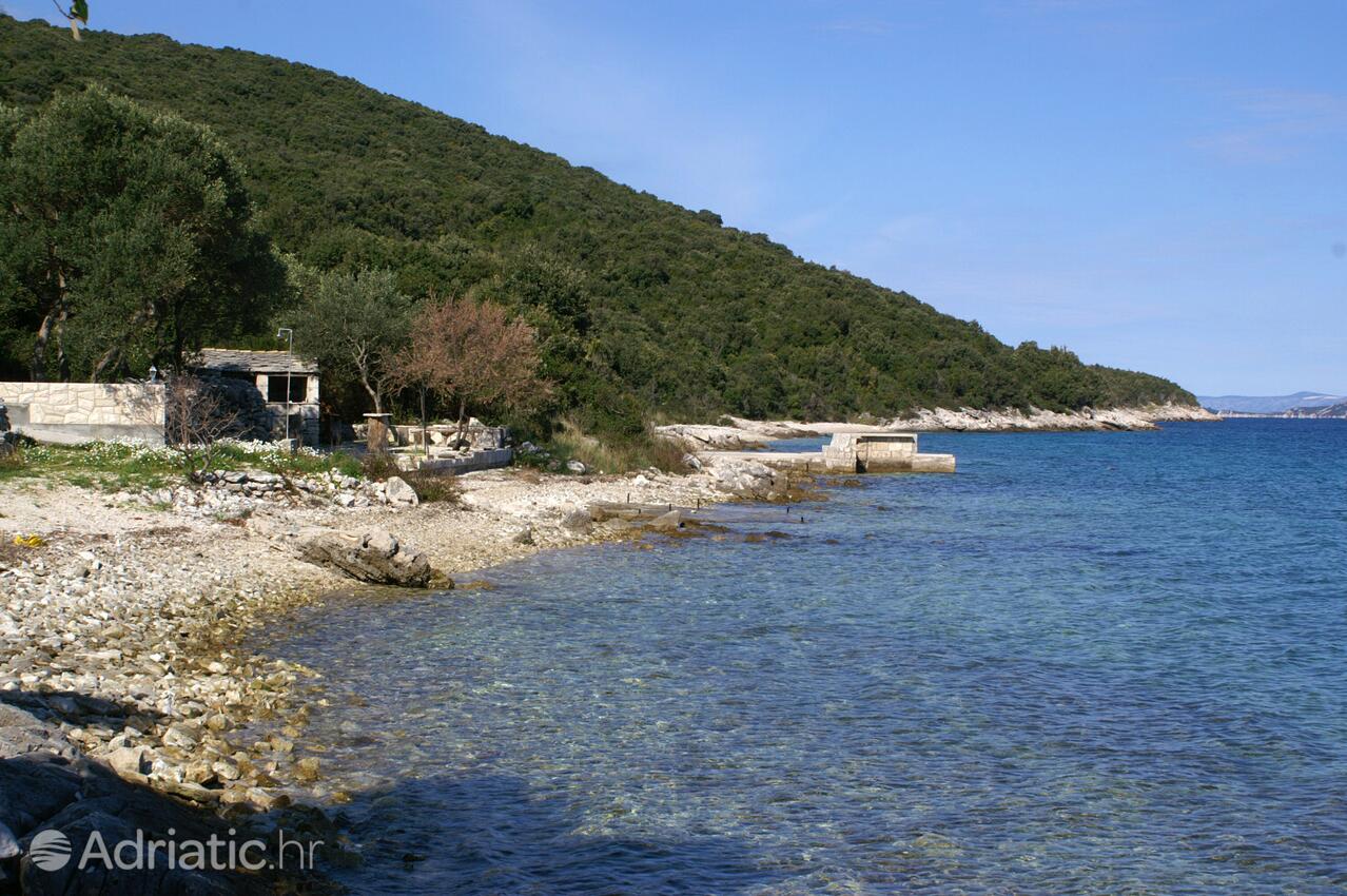 Nearby beaches - Apartments by the sea Tri Žala, Korčula