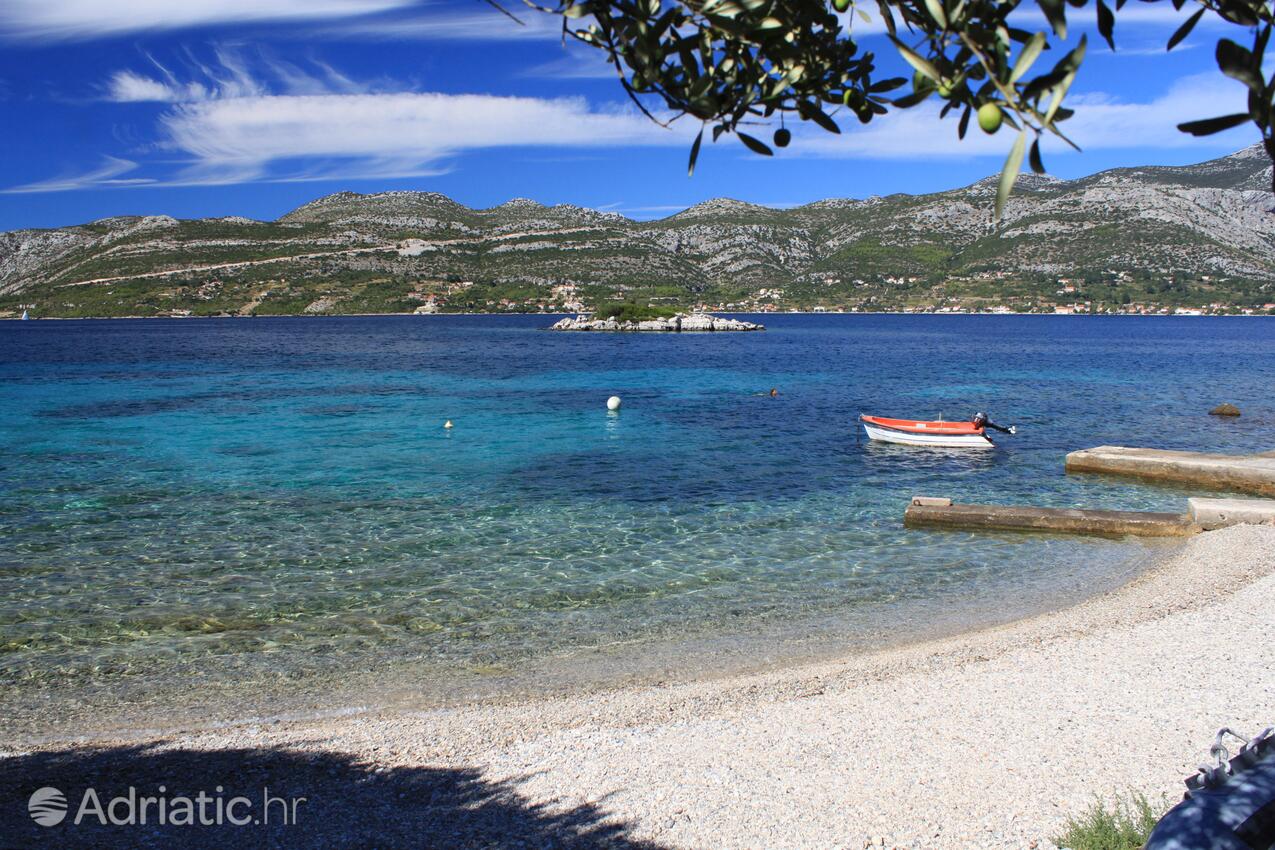 Nearby beaches - Apartments by the sea Tri Žala, Korčula