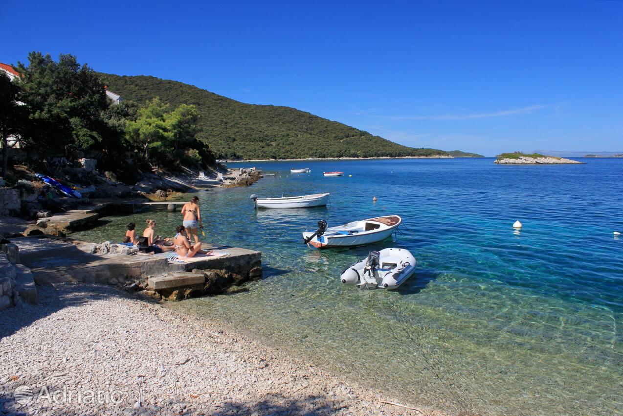 Nearby beaches - Apartments by the sea Tri Žala, Korčula
