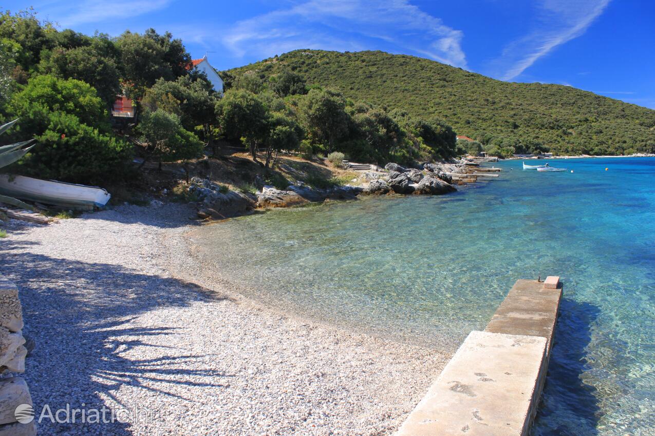 Nearby beaches - Apartments by the sea Tri Žala, Korčula
