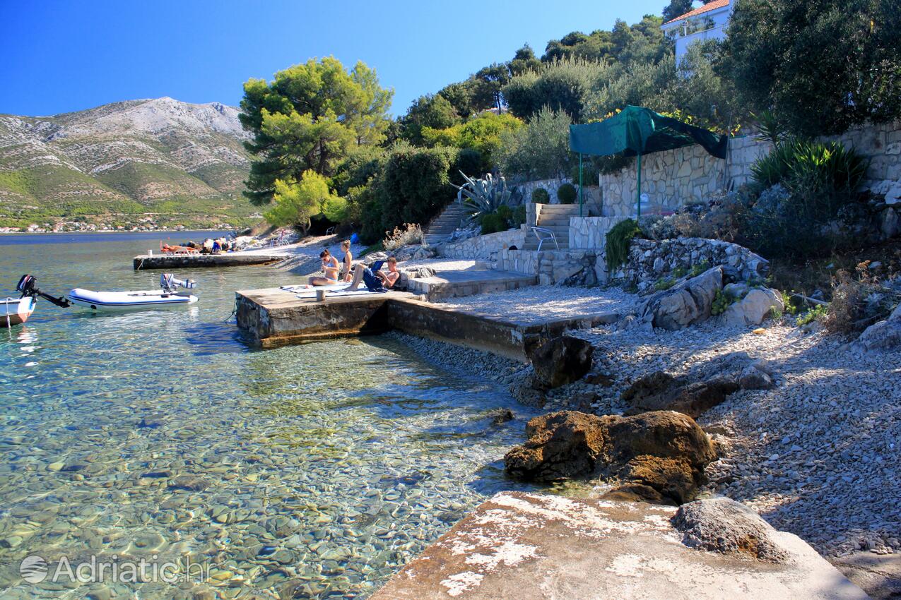 Nearby beaches - Apartments by the sea Tri Žala, Korčula