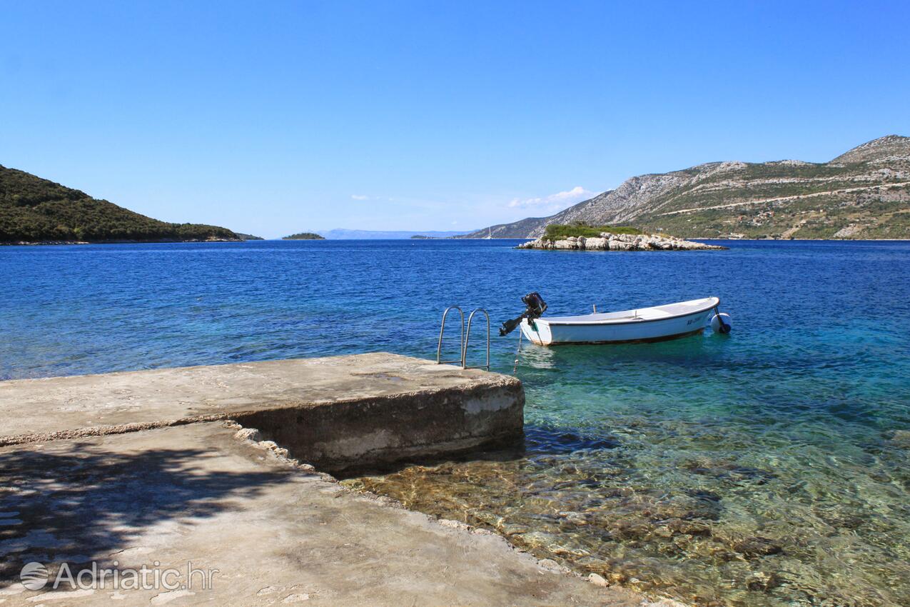 Nearby beaches - Apartments by the sea Tri Žala, Korčula