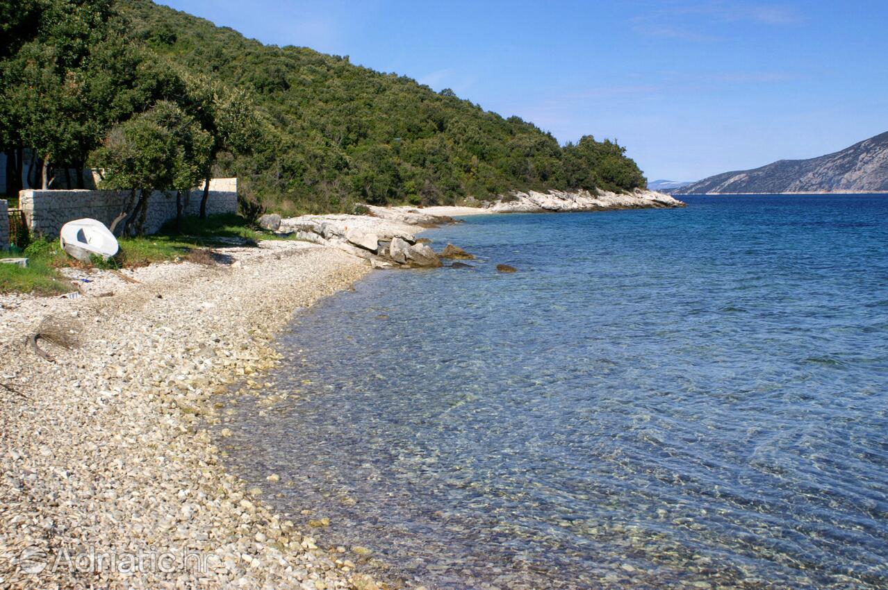 Nearby beaches - Apartments by the sea Tri Žala, Korčula