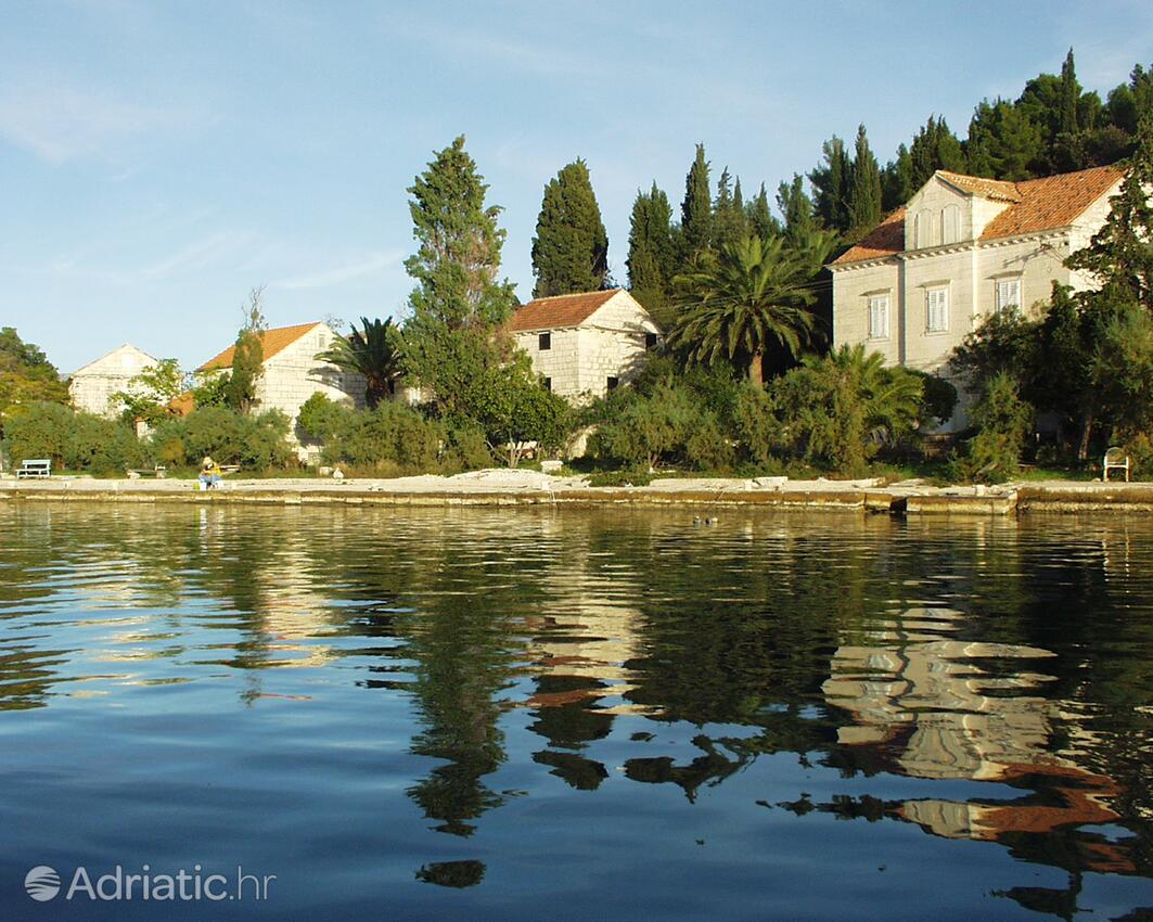 Vrnik pe insula Korčula (Južna Dalmacija)