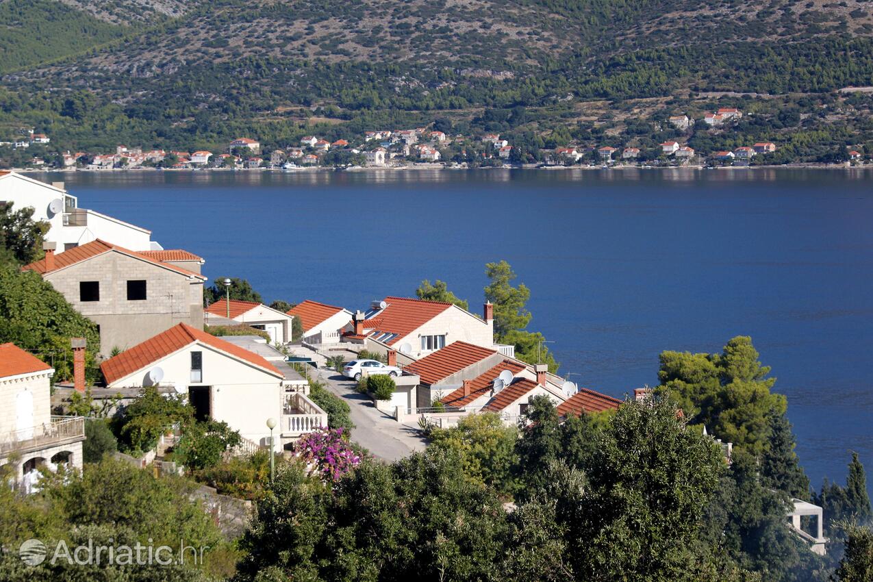 Medvinjak острові Korčula (Južna Dalmacija)