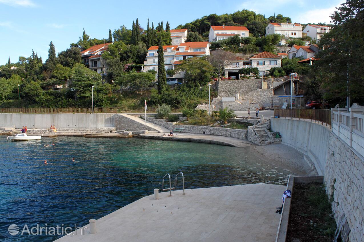 Medvinjak острові Korčula (Južna Dalmacija)