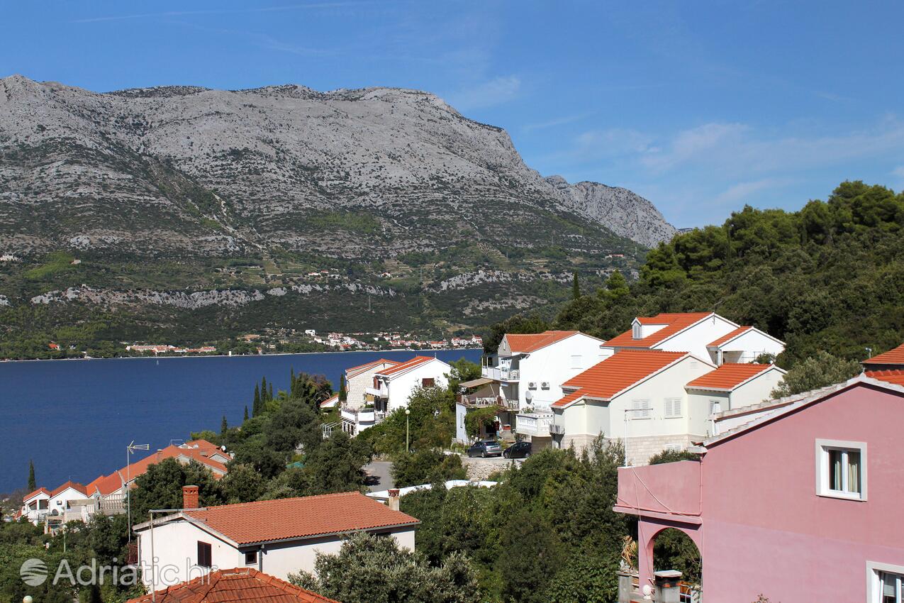 Medvinjak острові Korčula (Južna Dalmacija)